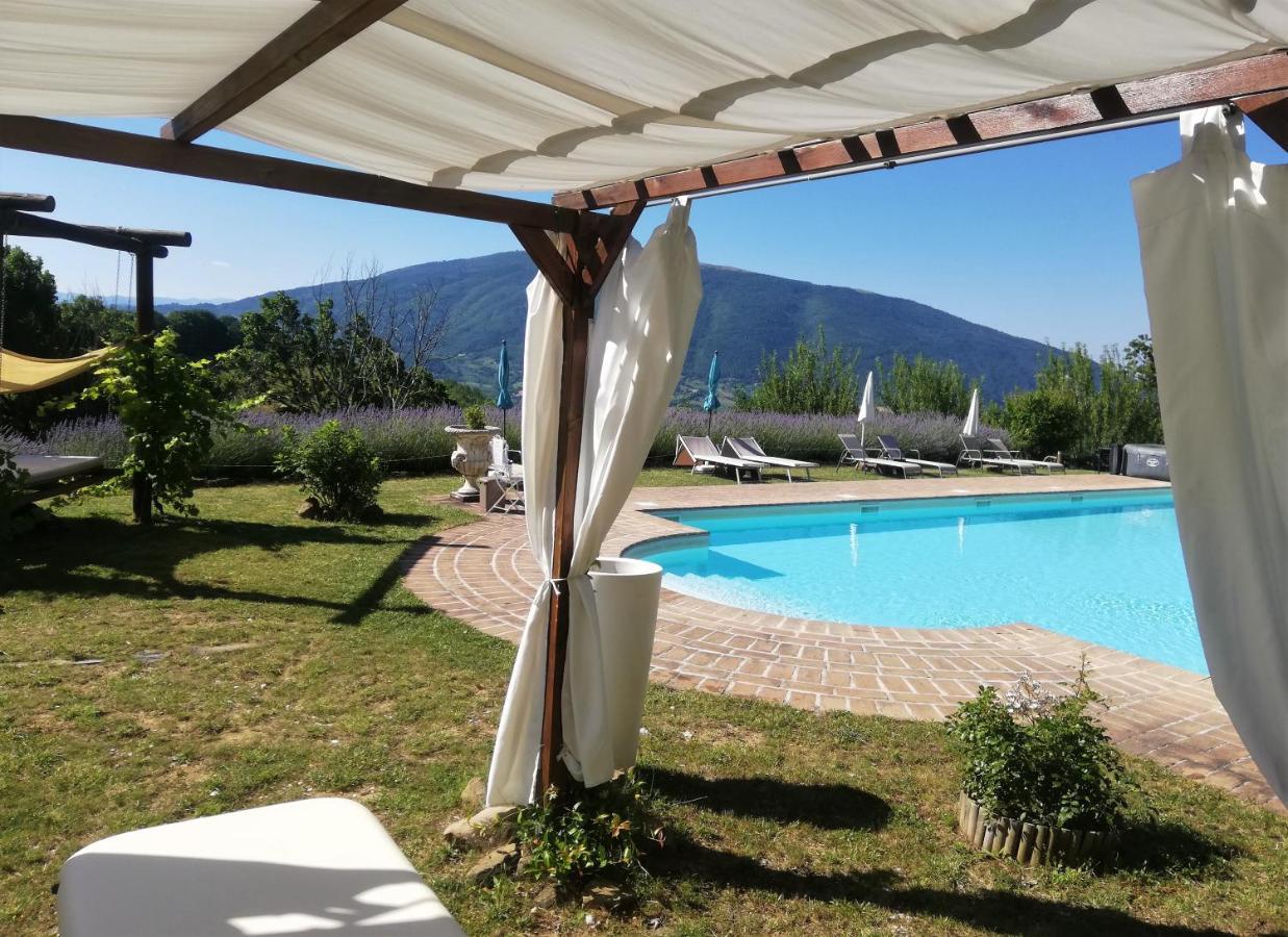 Le Ginestre Apartments Assisi Exterior foto